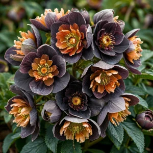 Морозник Блум Айс купить по цене от 499р. в интернет-магазине «Посадика» с доставкой почтой в в Пушкиное и по всей России – [изображение №1].